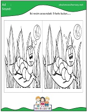 okul öncesi İki Resim Arasındaki Farkı Bul